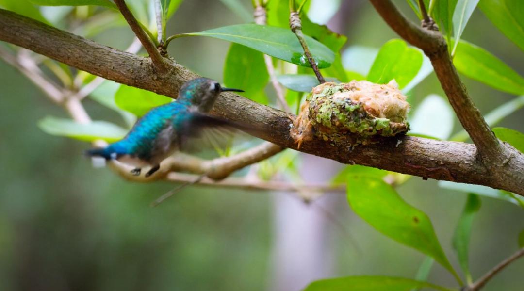 豆瓣9.6！娃刷到停不下来，还能看出人生大道理
