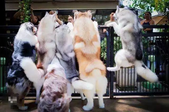 曼谷免税店攻略之自由行,曼谷免税店必买清单