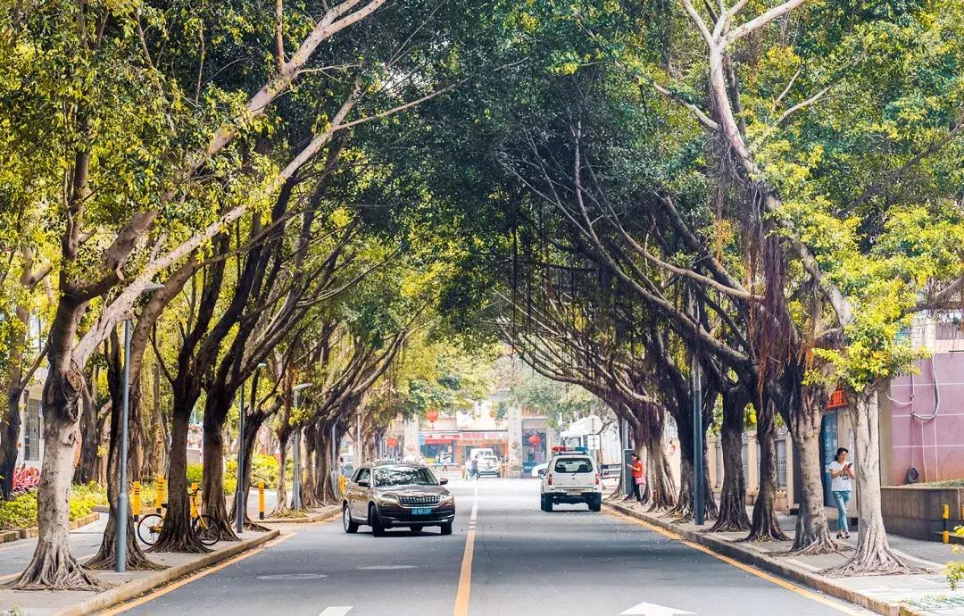 隐藏在梧桐山里的世外桃源,深山独门独户世外桃源