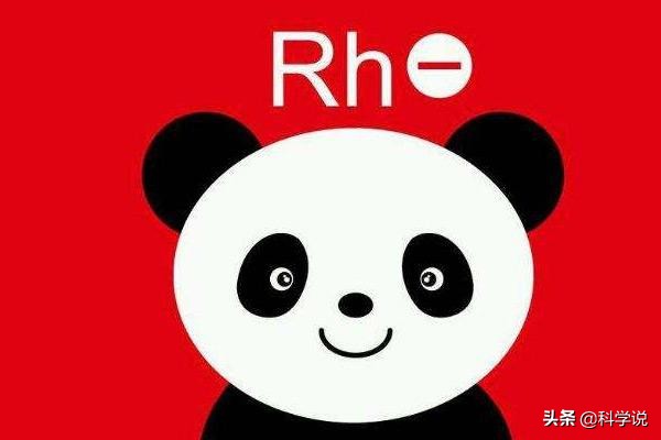 什么血型能生出熊猫血型的孩子,熊猫血型他的母亲应该是什么血型