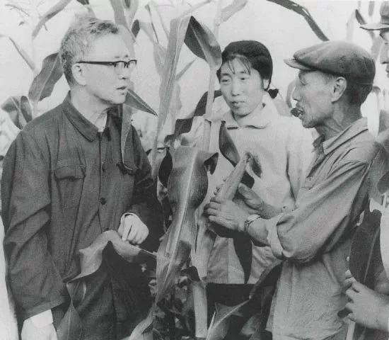 数学家华罗庚后代现在怎样呢,华罗庚为什么和妻子分居五年