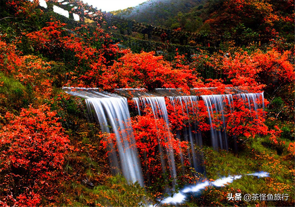 宜昌小九寨五龙河,旅游推荐2-3天游玻璃栈道