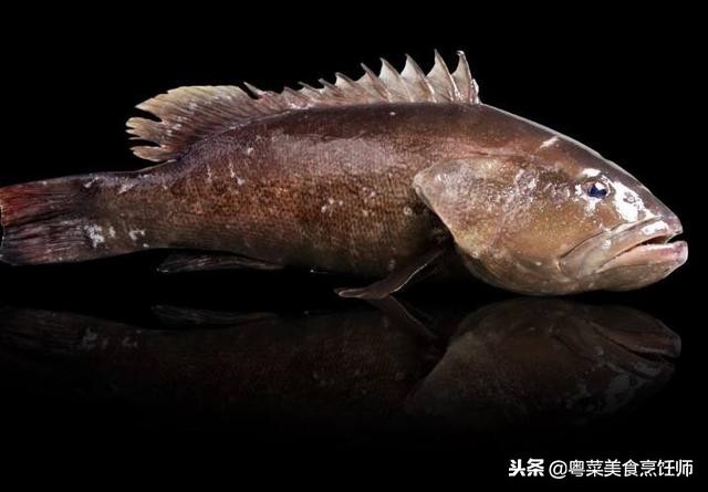 名贵海鲜干货有哪些品种,名贵海鲜水产品种类