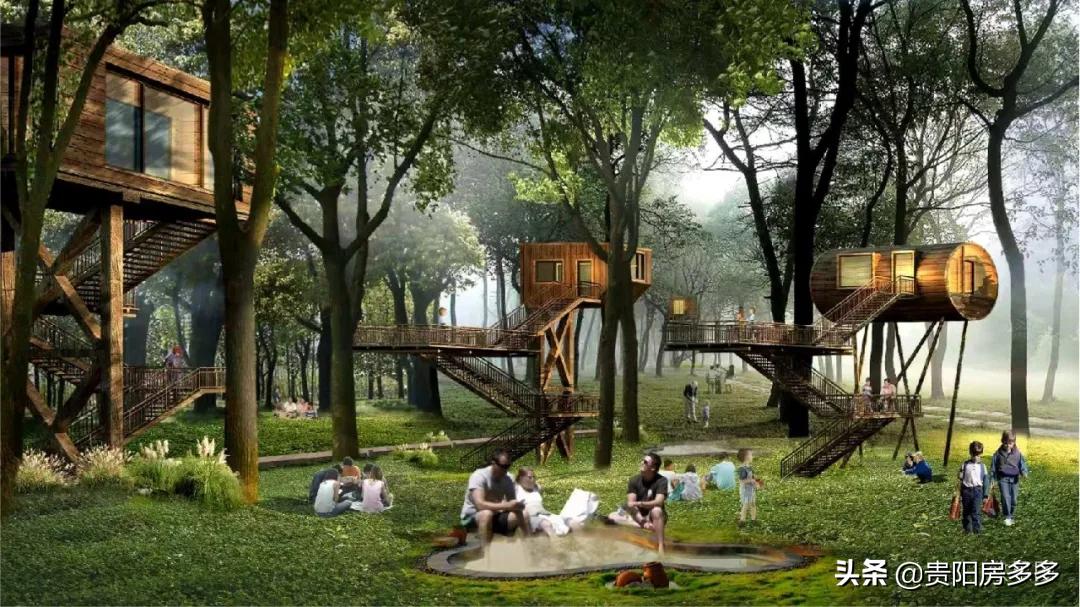 贵阳双龙航空经济开发区未来发展,贵阳双龙新区未来规划图