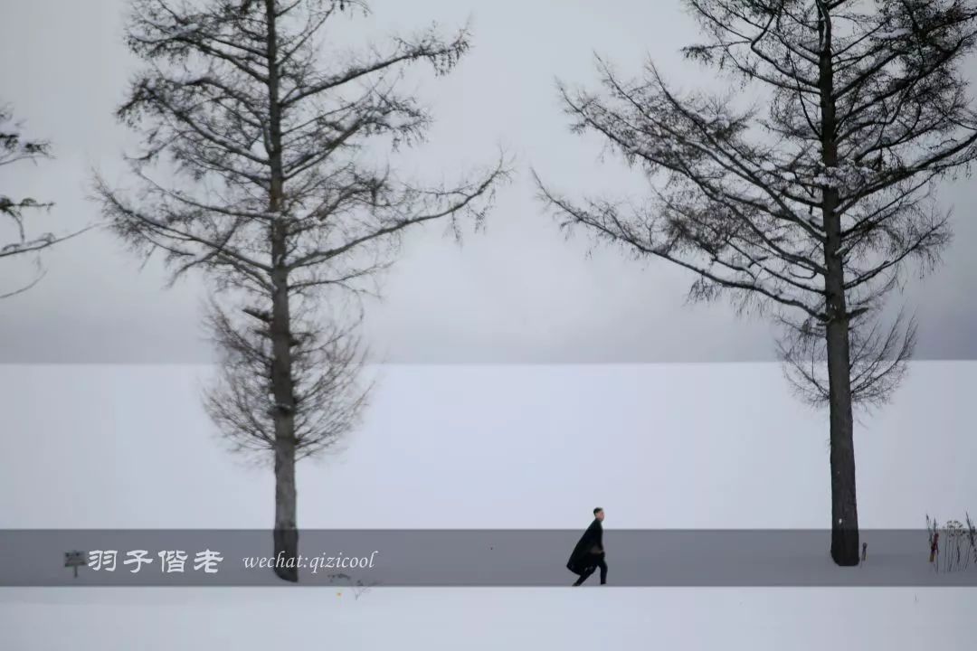 日本10天自由行费用北海道,东京北海道5日自由行攻略