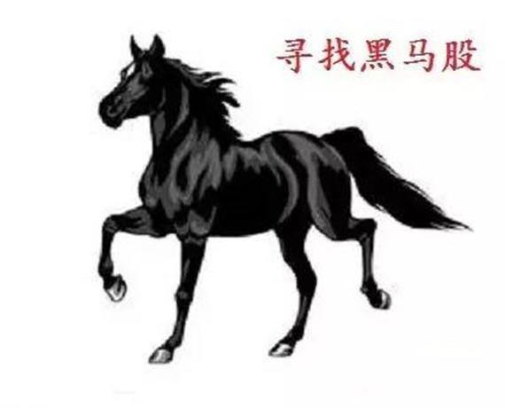 如何识别黑马股,别人推荐的股票真的靠谱吗