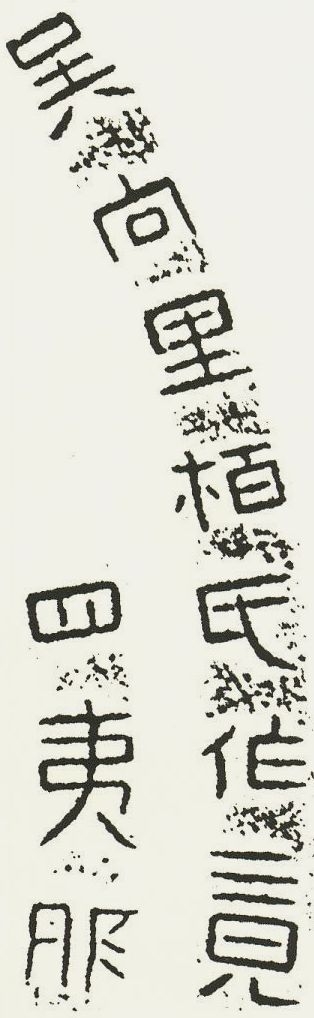 有趣的汉字魔方,汉字学习魔方