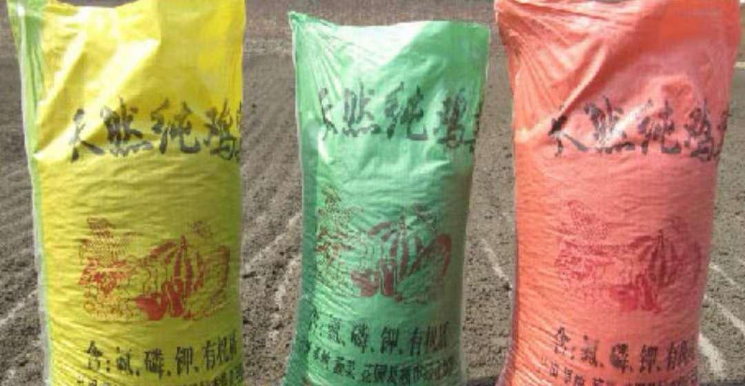 养蛋鸡场鸡粪处理,散养鸡粪处理方法