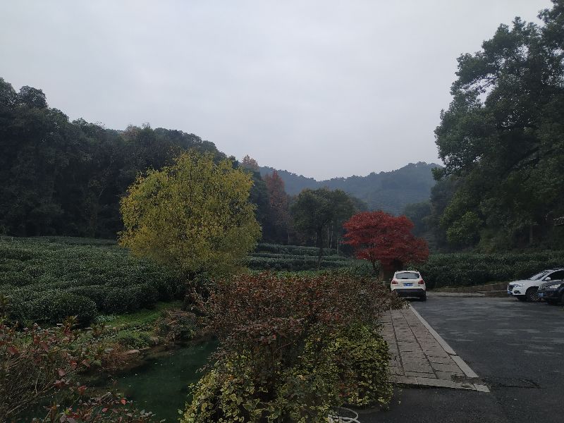 杭州市周末自驾游去哪里好玩,杭州出发周末旅游攻略