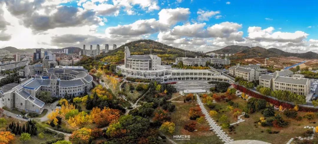 辽宁省民办大学（二）大连东软信息学院