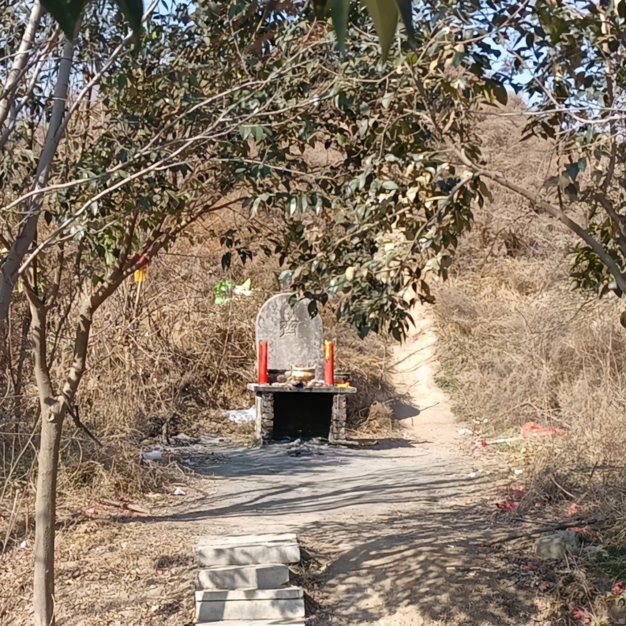 濮滃瓙鐗欏巻鍙蹭笂鐪熷疄瀛樺湪,濮滃瓙鐗欒韩涓婄殑璋滃洟