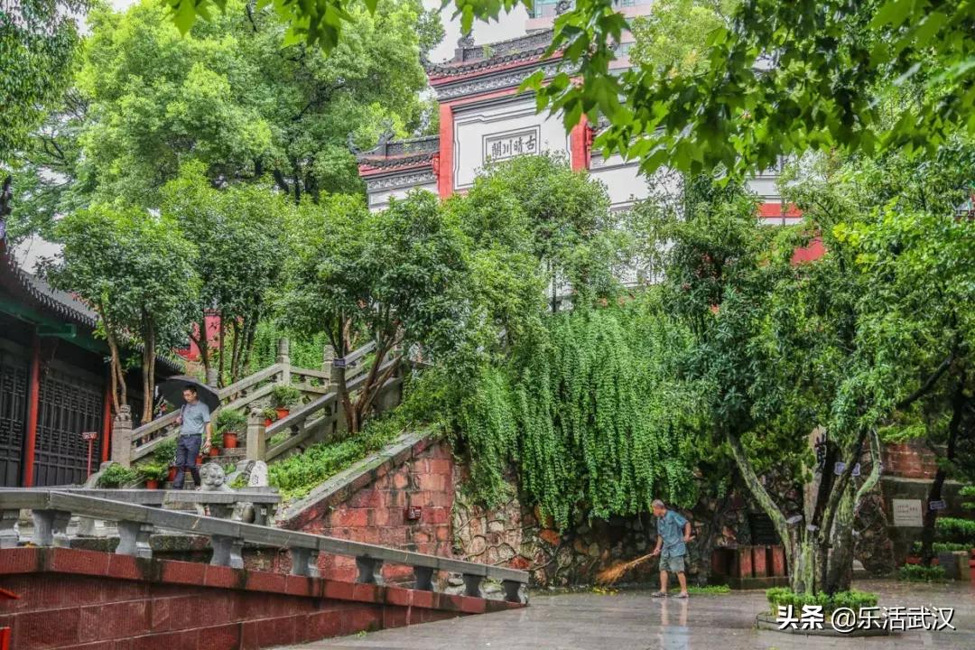 原来武汉有这么多好玩的打卡地,武汉周边新晋7大网红打卡地