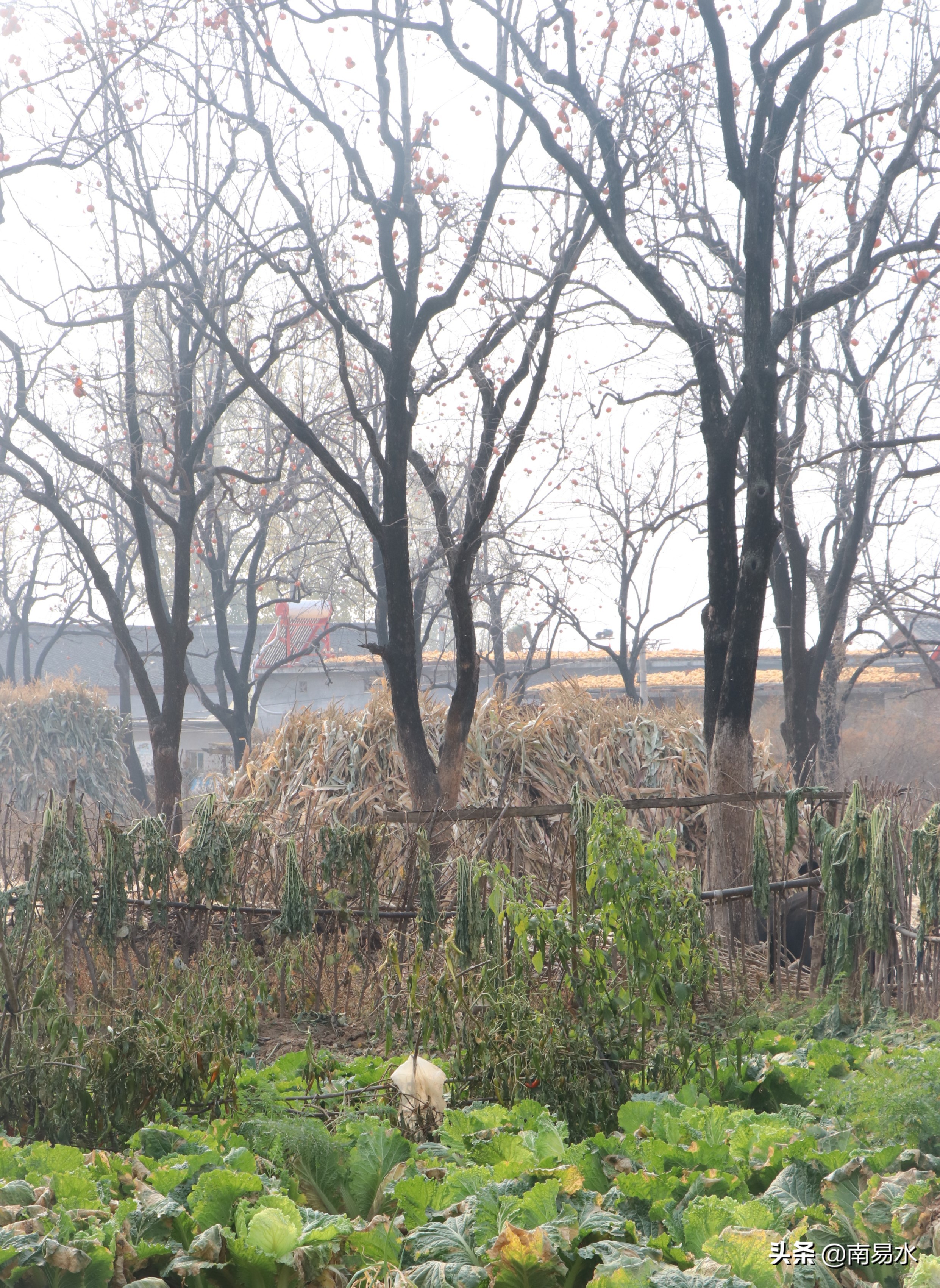 家乡风景带你一起感受自然的味道,令你难以忘怀的家乡的味道