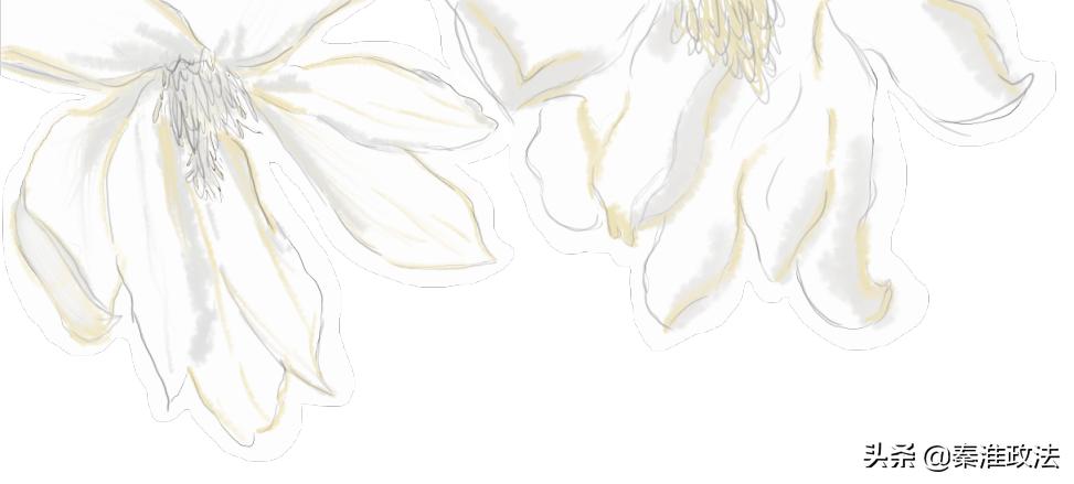 非遗直播精彩视频,非遗线上直播活动