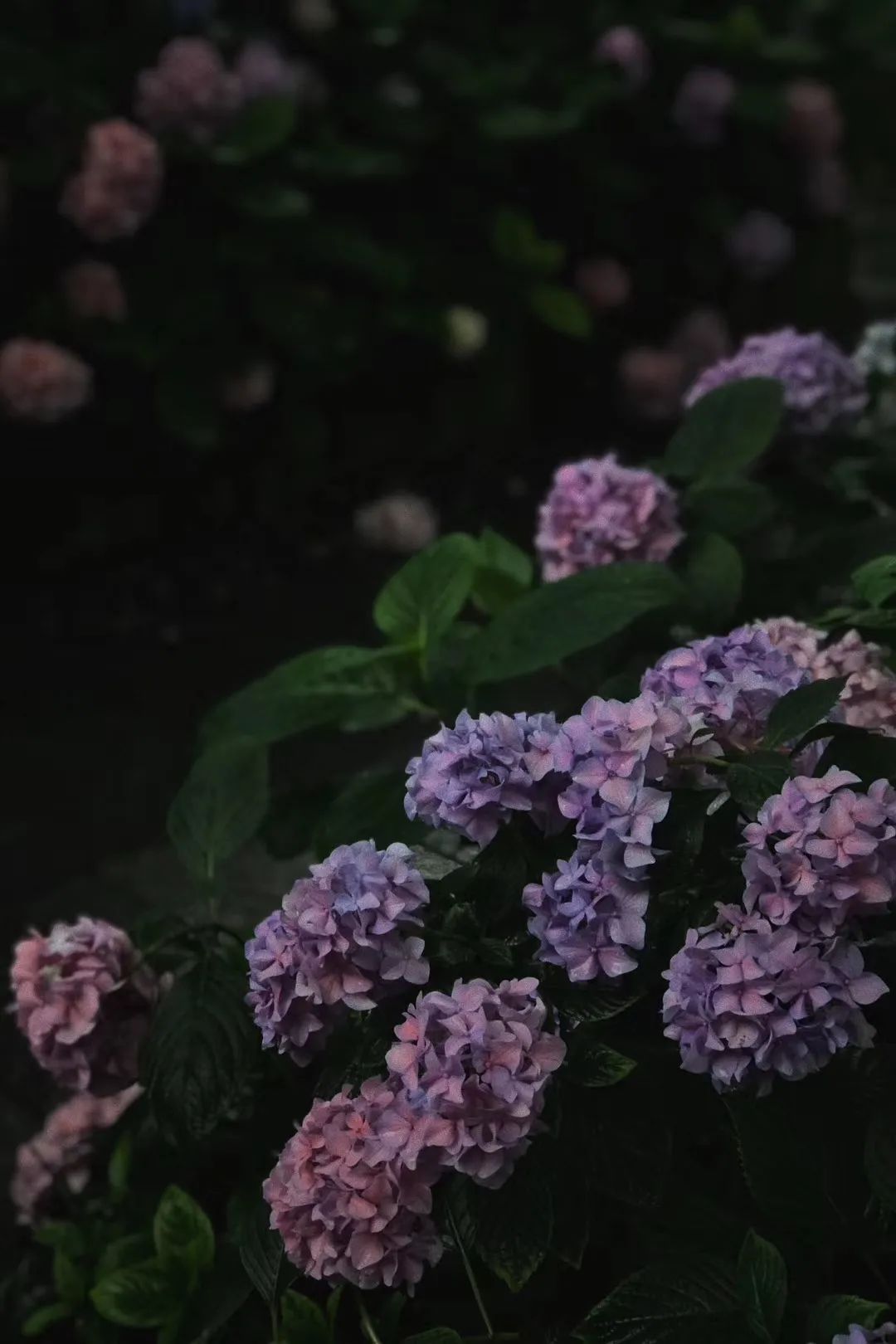 绍兴柯桥花间堂,花间堂民宿发展