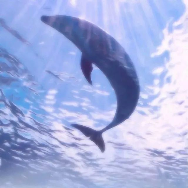 朋友圈相册封面图怎么关闭,朋友圈相册封面图