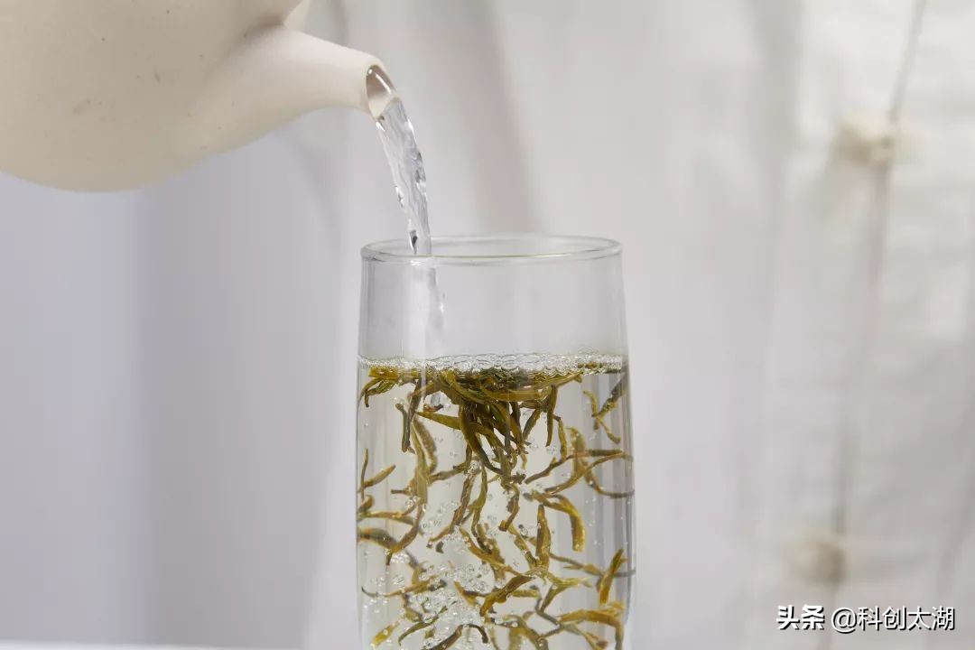 什么茶泡茶最好喝,哪些茶用开水冲泡好喝又健康