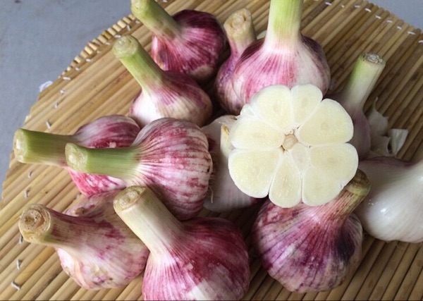 翡翠蒜瓣的腌法,翡翠蒜泡制方法