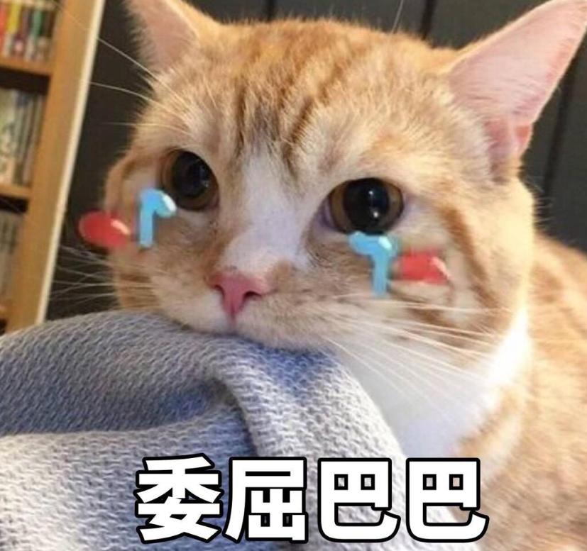 神武4两情相悦,神武4有情侣等级么