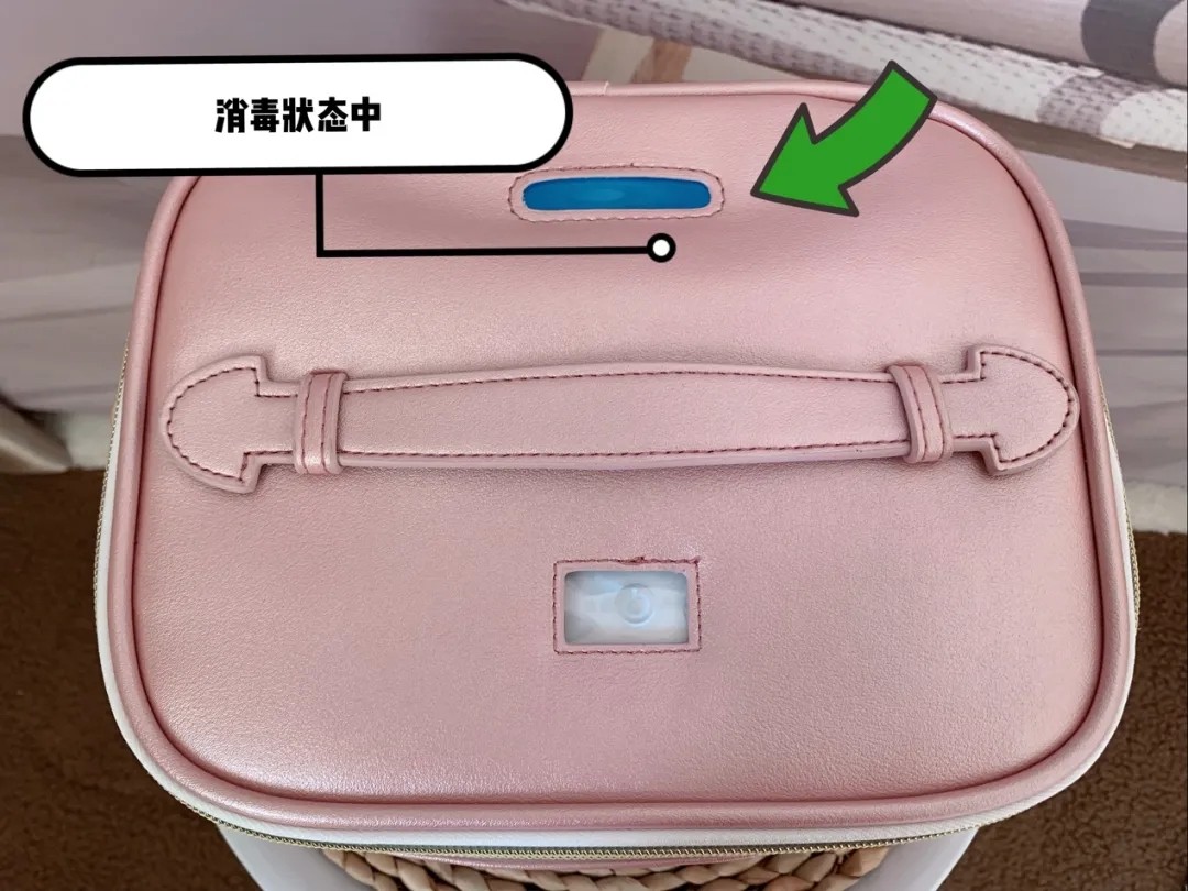 消毒杀菌小能手,小白鼠怎么消毒最有效