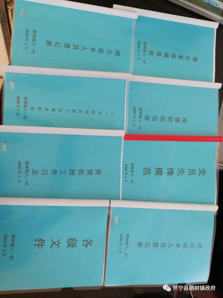 全村无疫情，全靠女当家