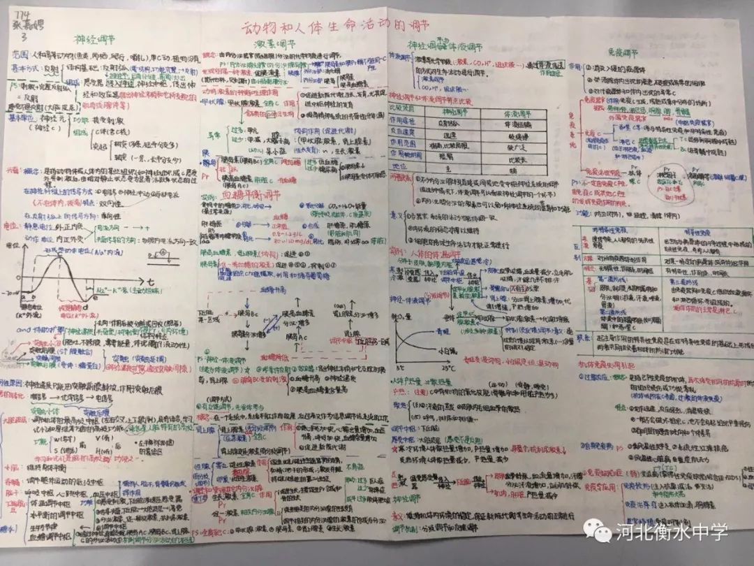 衡水中学学生夸衡中,衡水中学老师批改试卷