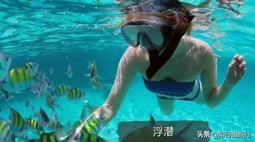 离曼谷芭提雅不远的沙美岛又称情人岛，值得你在泰国旅程中走一走