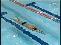 自由泳提速的七个建议,50米自由泳提速教程