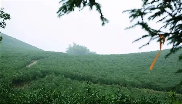 东钱湖徒步路线哪条最美,东钱湖附近有哪些免费古道