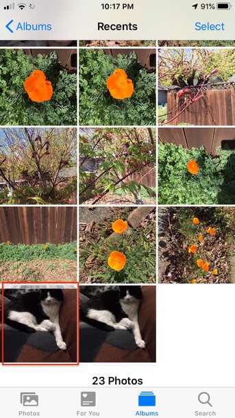 全部删除图片快捷键ctrl加什么,重复照片怎么删除苹果手机