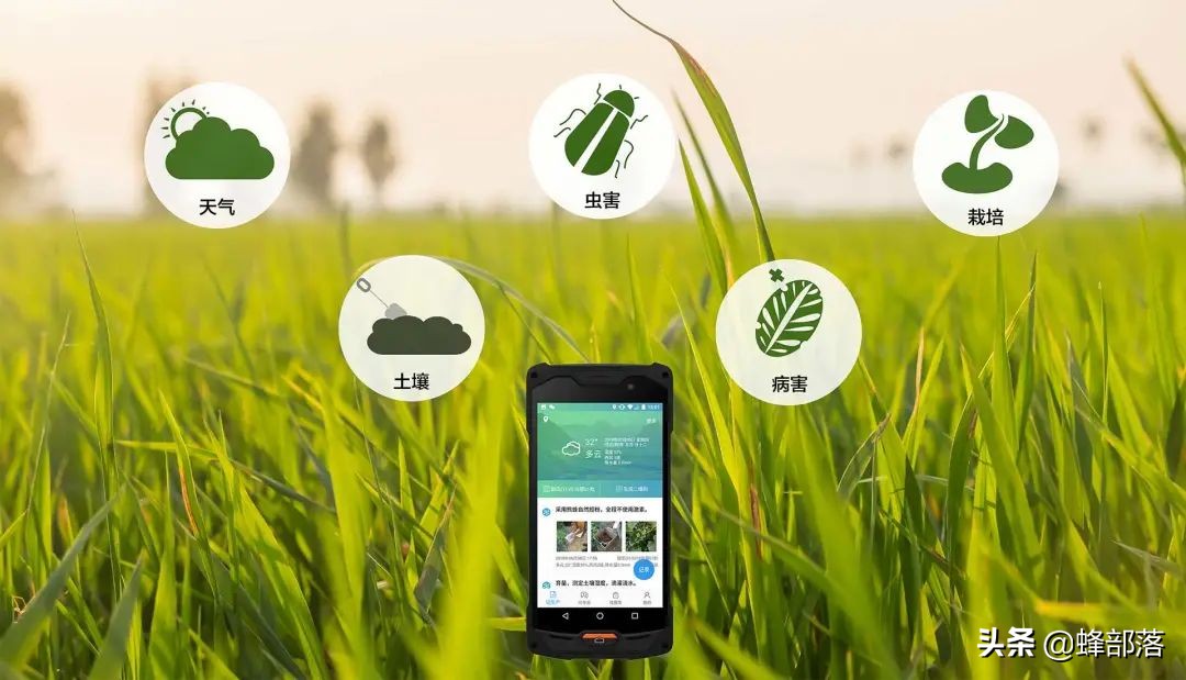 未来农村十大项目,农村最新项目商机