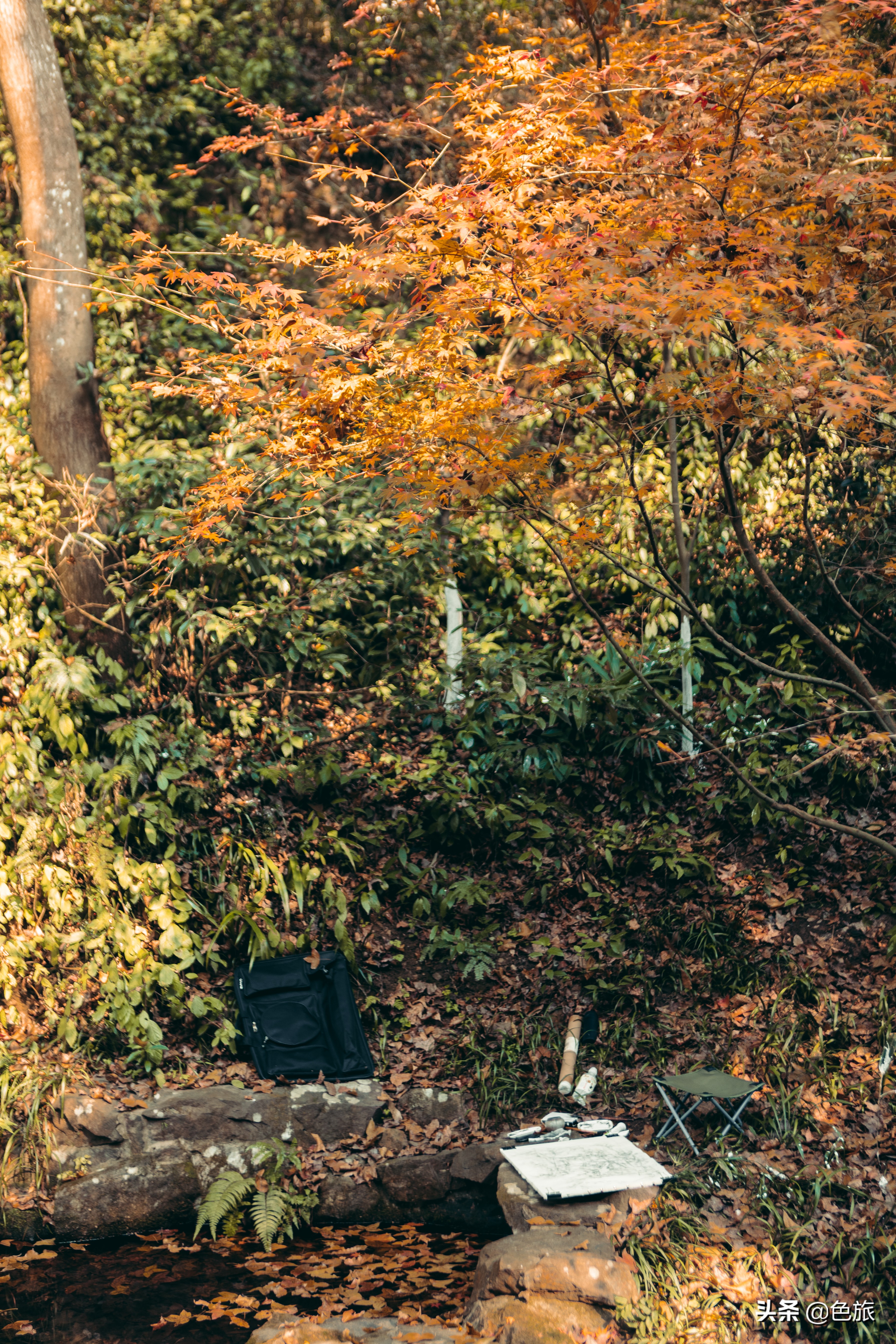 逆水寒游历虎跑梦泉怎么出葫芦,杭州游玩虎跑泉