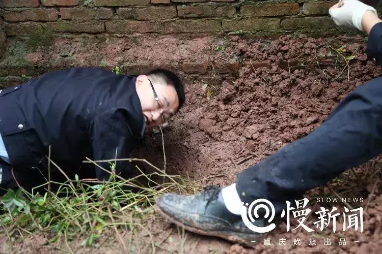 10部好看的法医悬疑电影,2022年度10部好看的法医悬疑电视剧