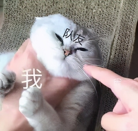 留学生回国海关行李怎么办,留学生行李被海关扣了怎么办