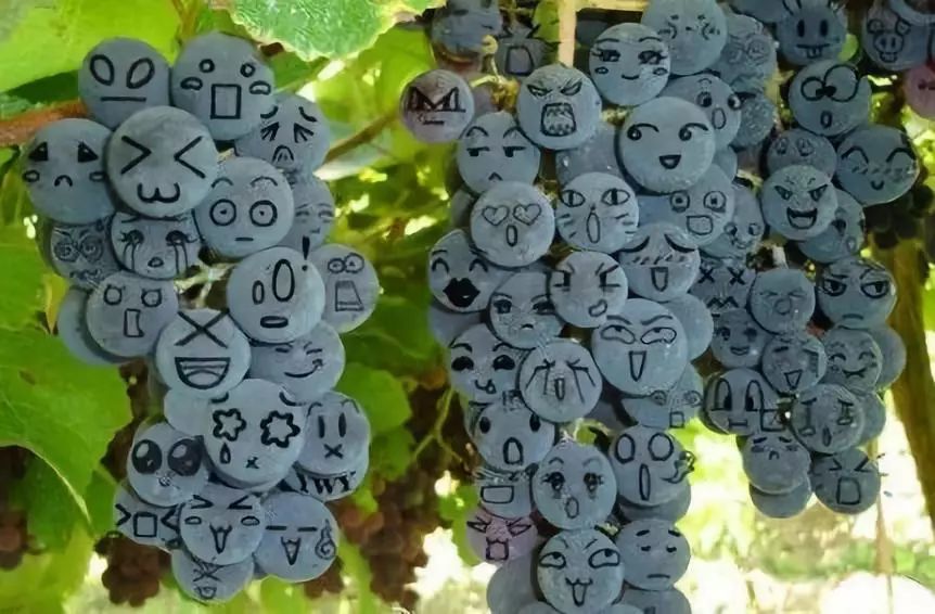 医药新闻最新,2019医药新闻热点