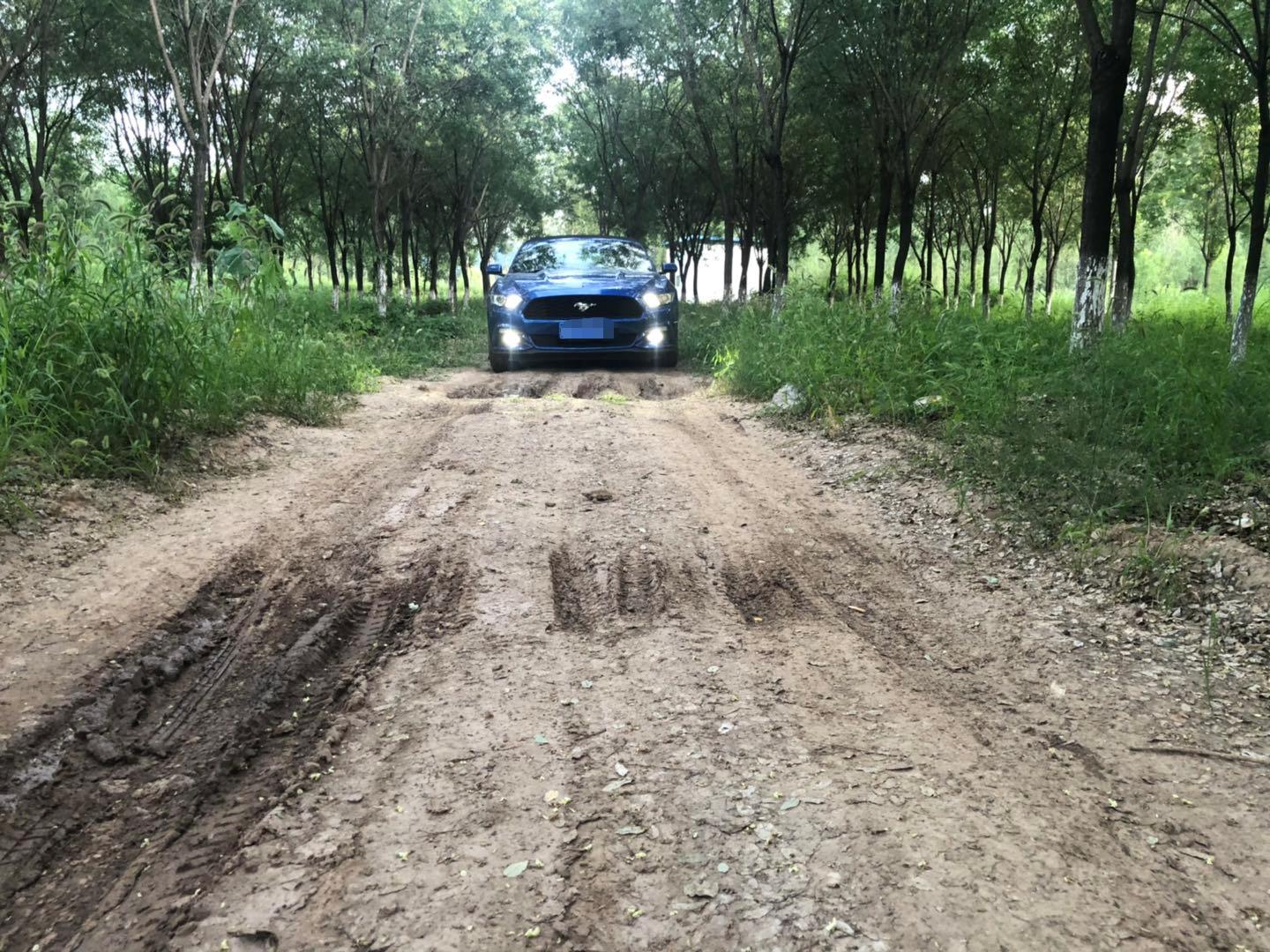 野马还是野驴,野马2.3t小野驴
