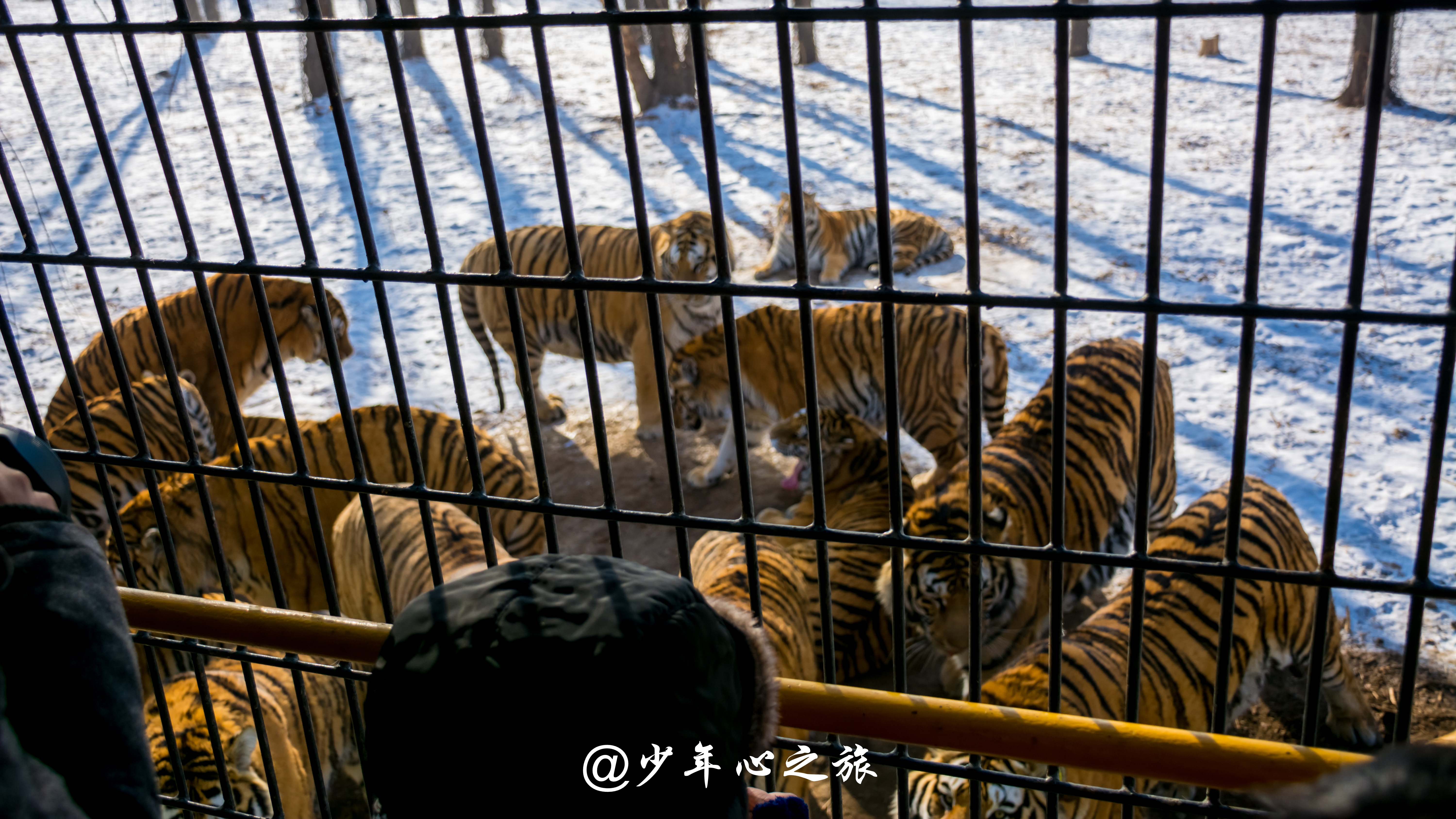 沈阳怪坡风景区门票多少钱,沈阳十大景点怪坡一日游攻略