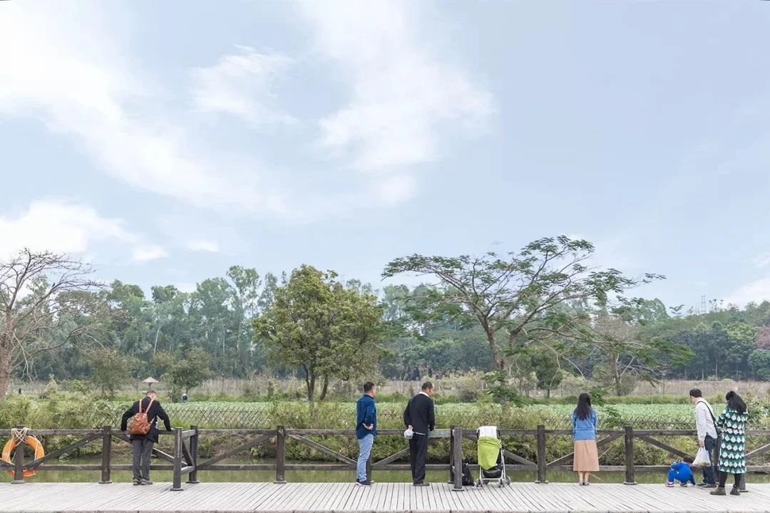 深圳游玩好去处攻略,深圳7个自驾游免费好去处推荐