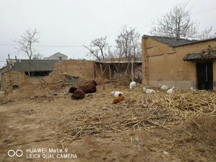三农乡村振兴陕西,富平乡村振兴