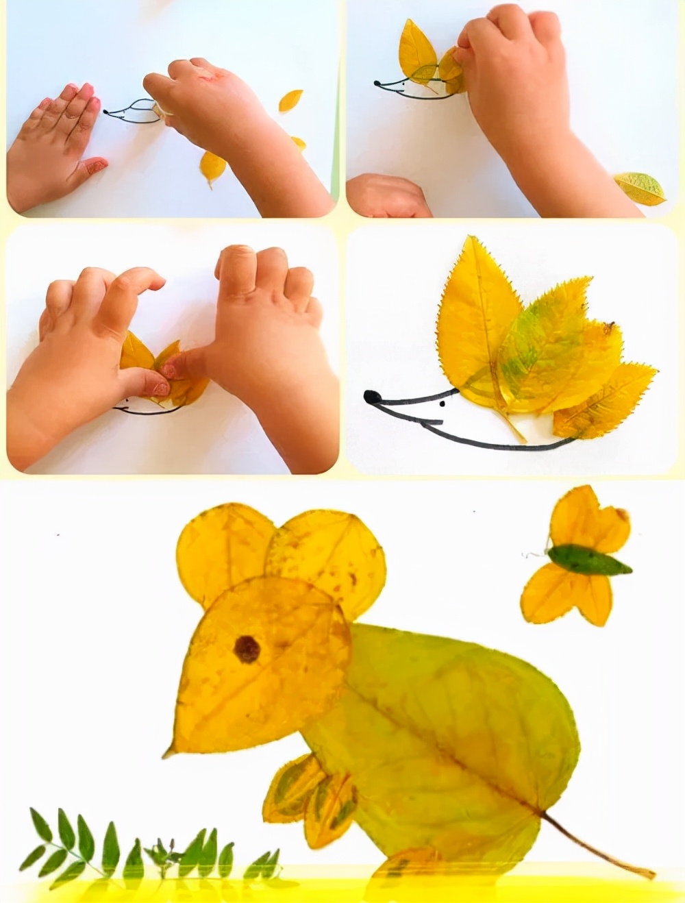 有多少种各种各样的小动物呢,用落叶做可爱的小动物