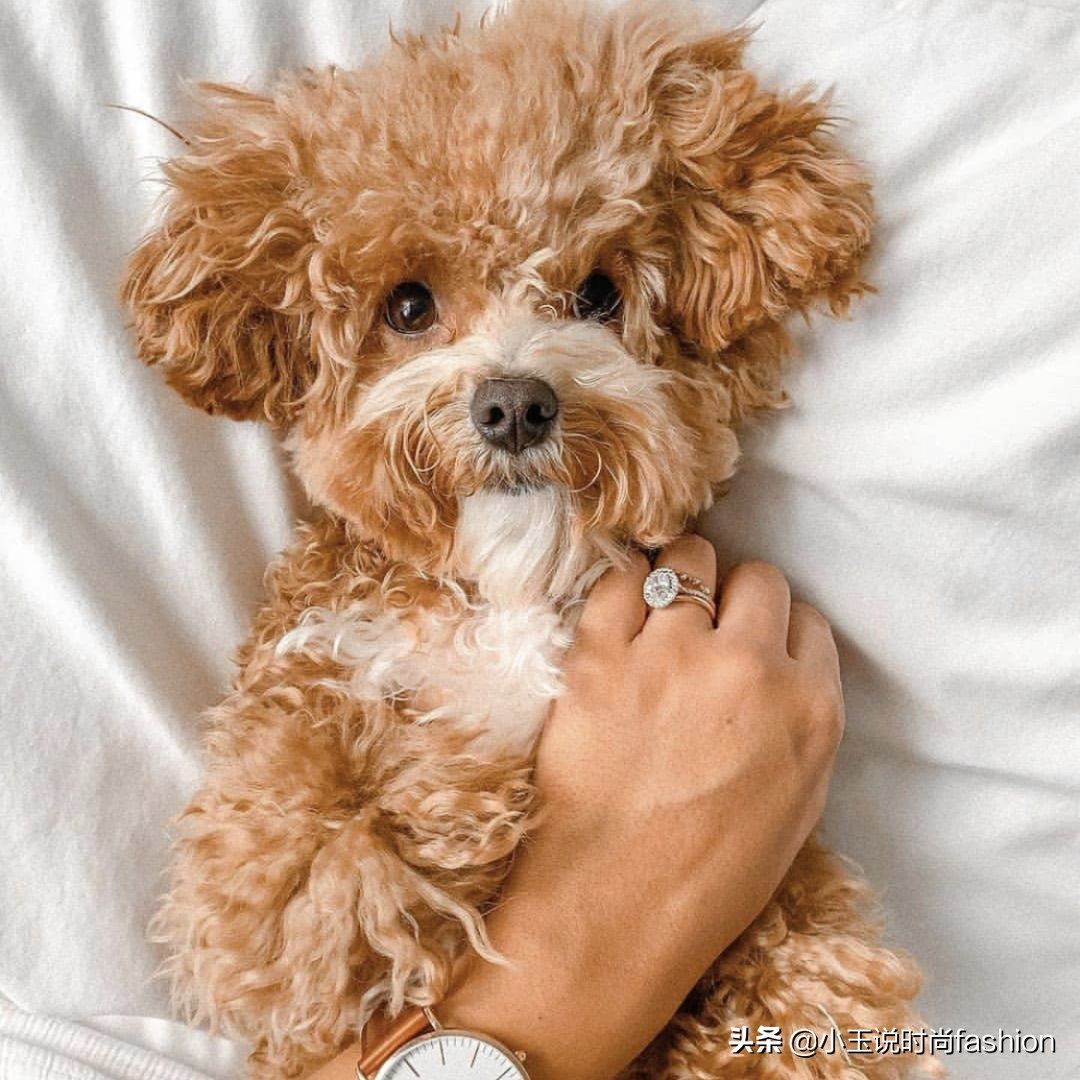 戒指男女戴法和意义十个手指,男女戒指的正确戴法图解