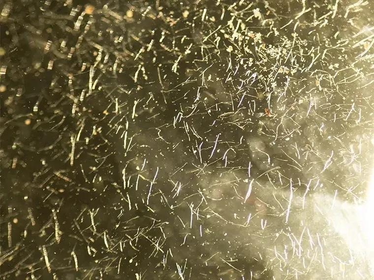 好喝的白茶白牡丹,好喝的白茶有哪些功效