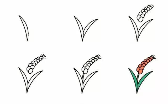 100种简笔画花草的画法高清,教学简笔画植物图片大全