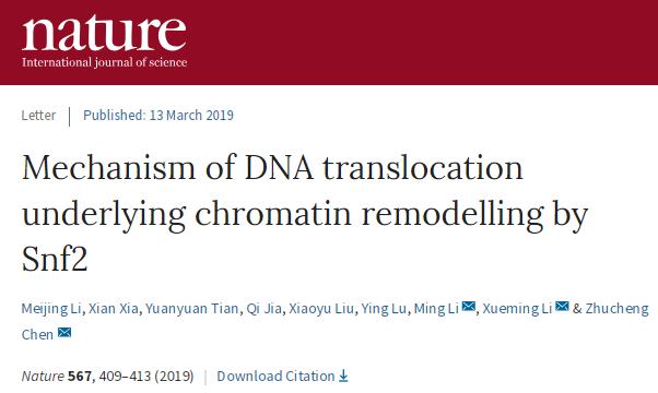冷冻电镜最新研究,冷冻电镜研究成果涌现