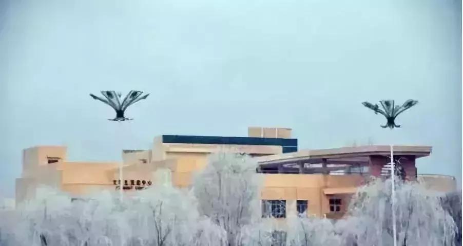 塔里木大学新疆的沙漠学府,塔里木大学周围的沙漠