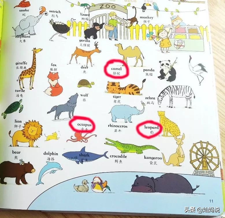 手指点读英语发声书推荐,灿妈书单