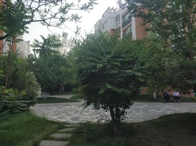 绿地城二期绿化乌鲁木齐,乌鲁木齐中海万锦公馆绿化环境