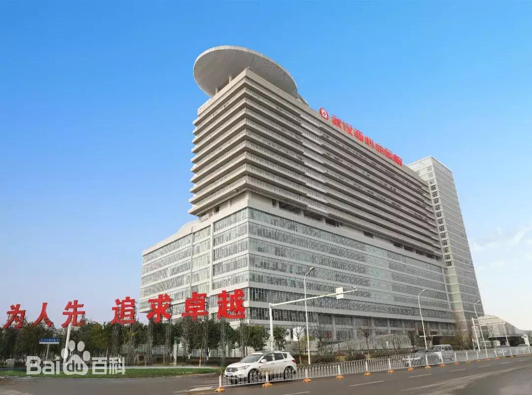 武汉最新示范区,武汉真正的核心区