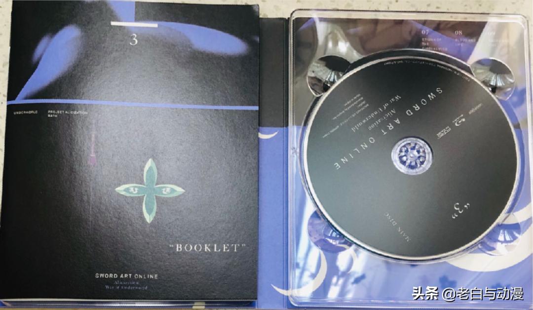 刀剑神域终章篇两个世界融合,刀剑神域不知道的细节