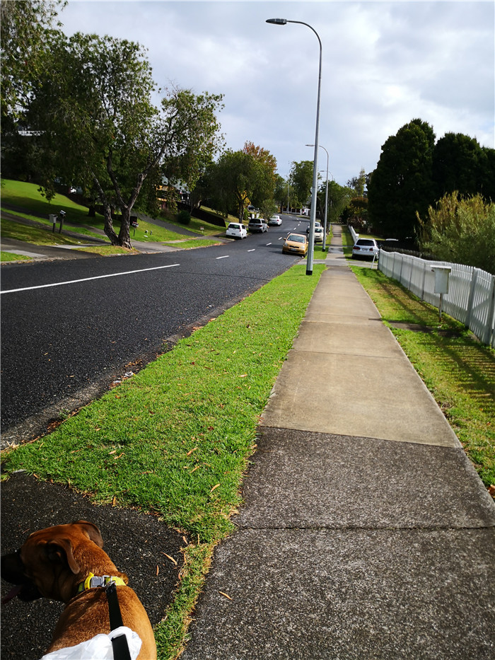 新西兰宅居第五天